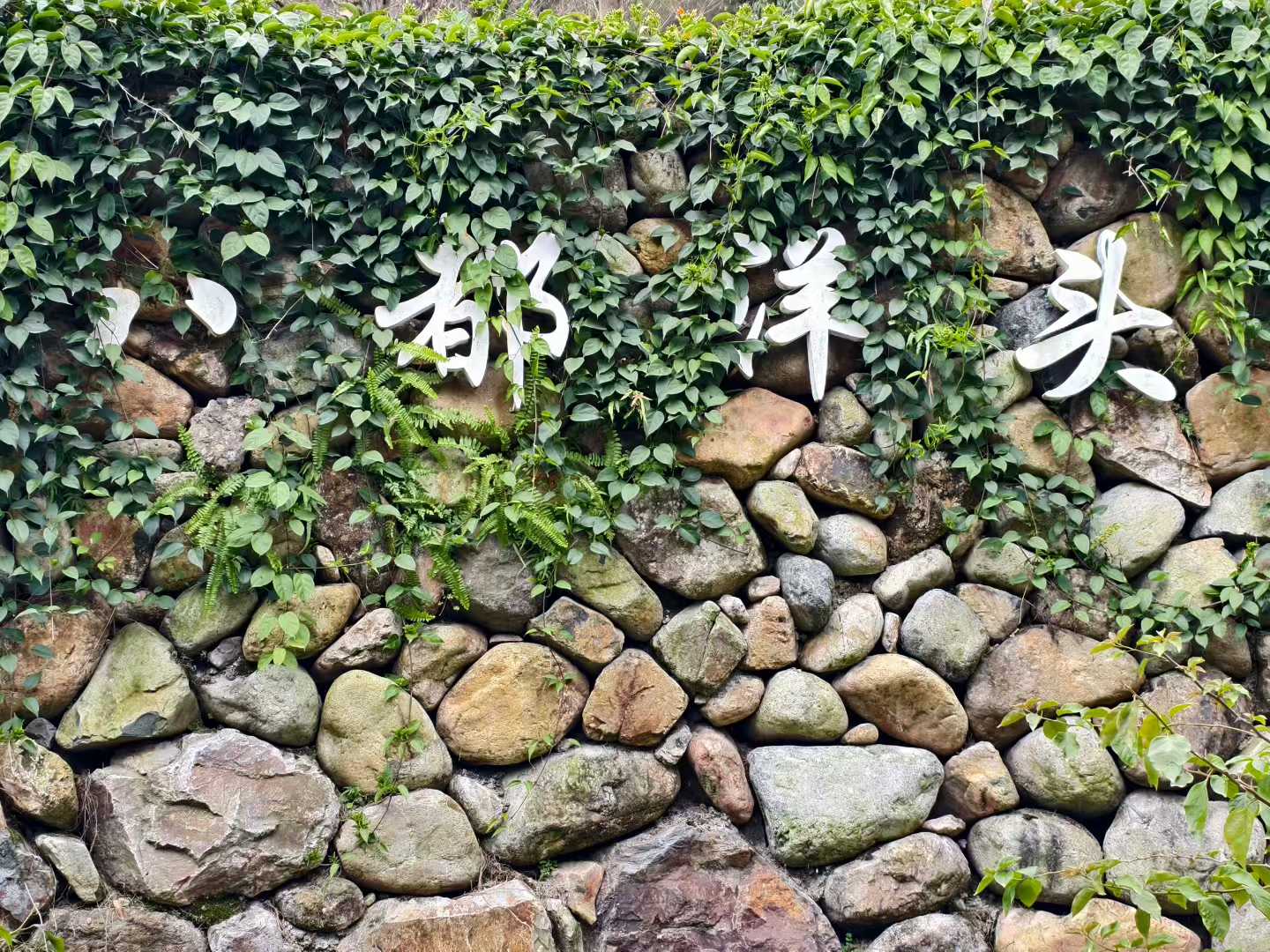 成功的人不纠结人际关系